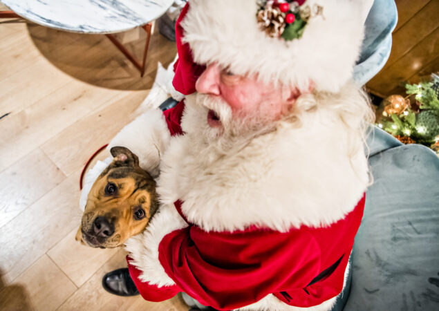 Visit from Santa: Pet Night